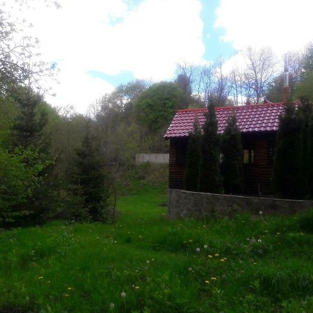 Casa Daos Hotell Nucşoara Eksteriør bilde