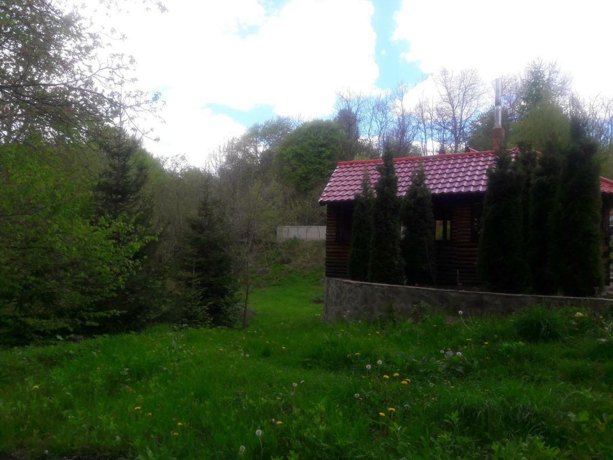 Casa Daos Hotell Nucşoara Eksteriør bilde